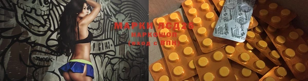 мяу мяу мука Бородино