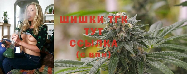 мяу мяу мука Бородино