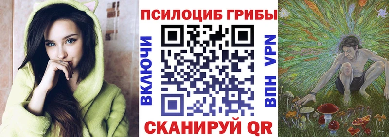 Псилоцибиновые грибы MAGIC MUSHROOMS  где купить   KRAKEN tor  Кашира 